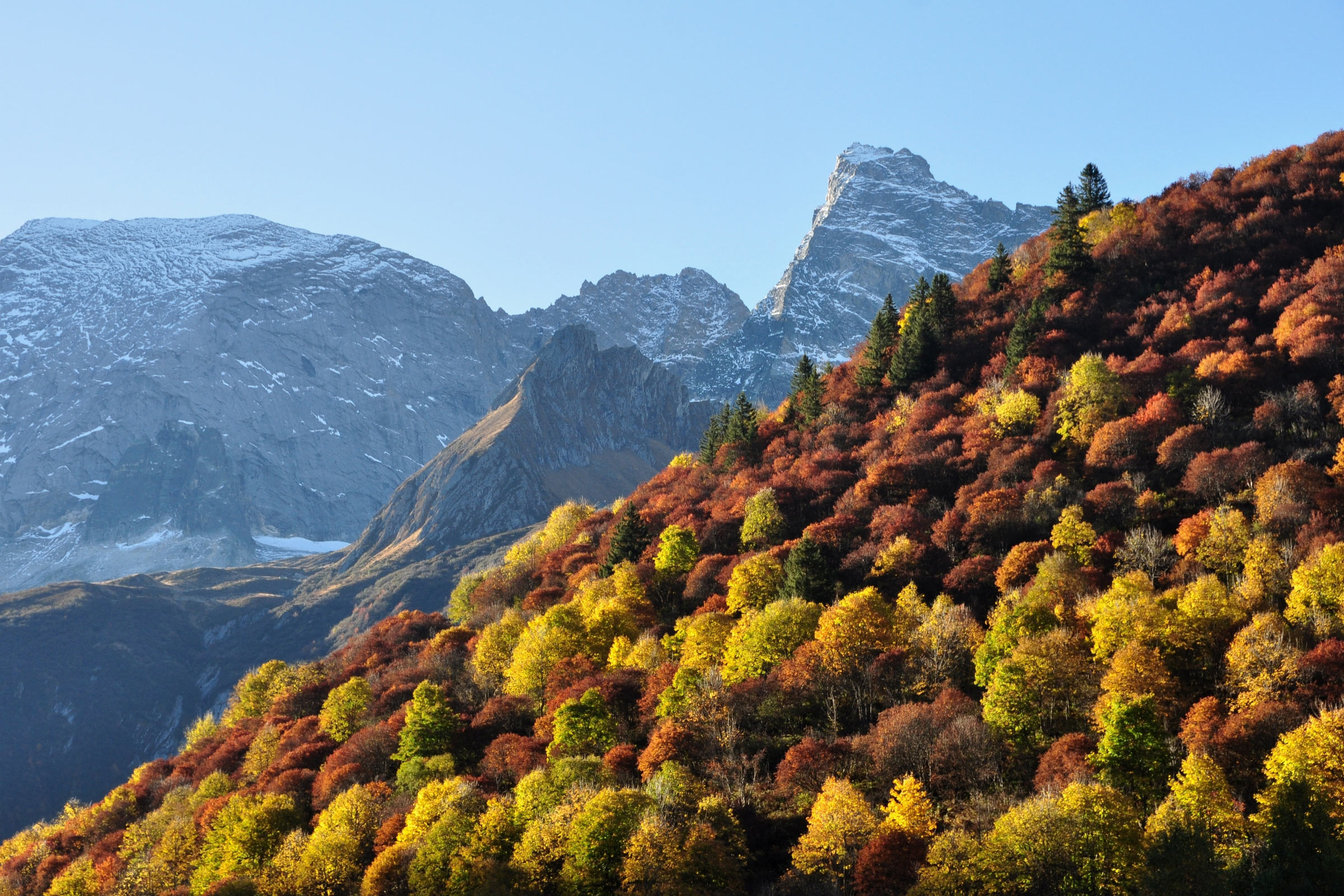 Le Laisonnay, Savoie